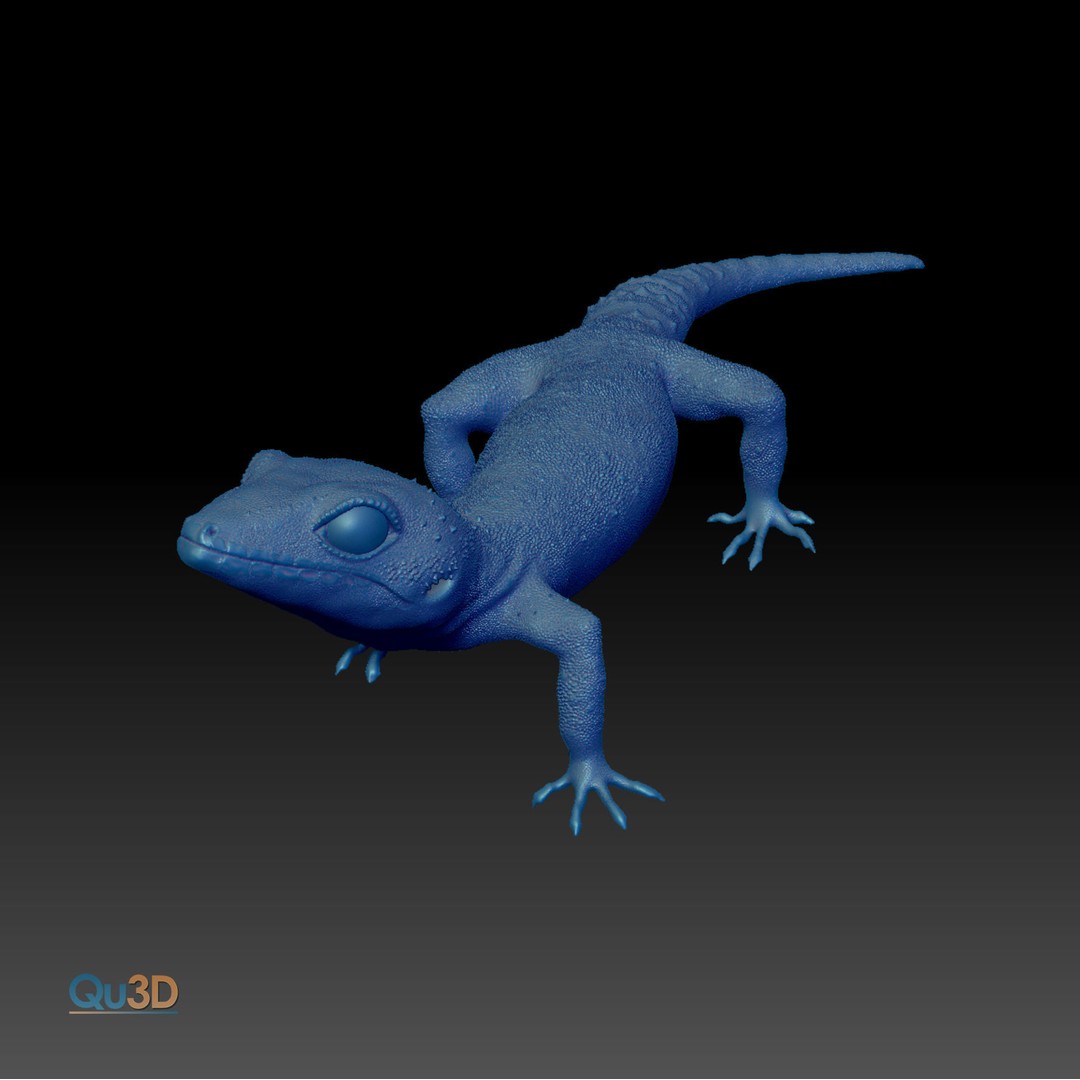 Chinese Cave Gecko 3D Model – High Poly PBR Model for Animation - View 3