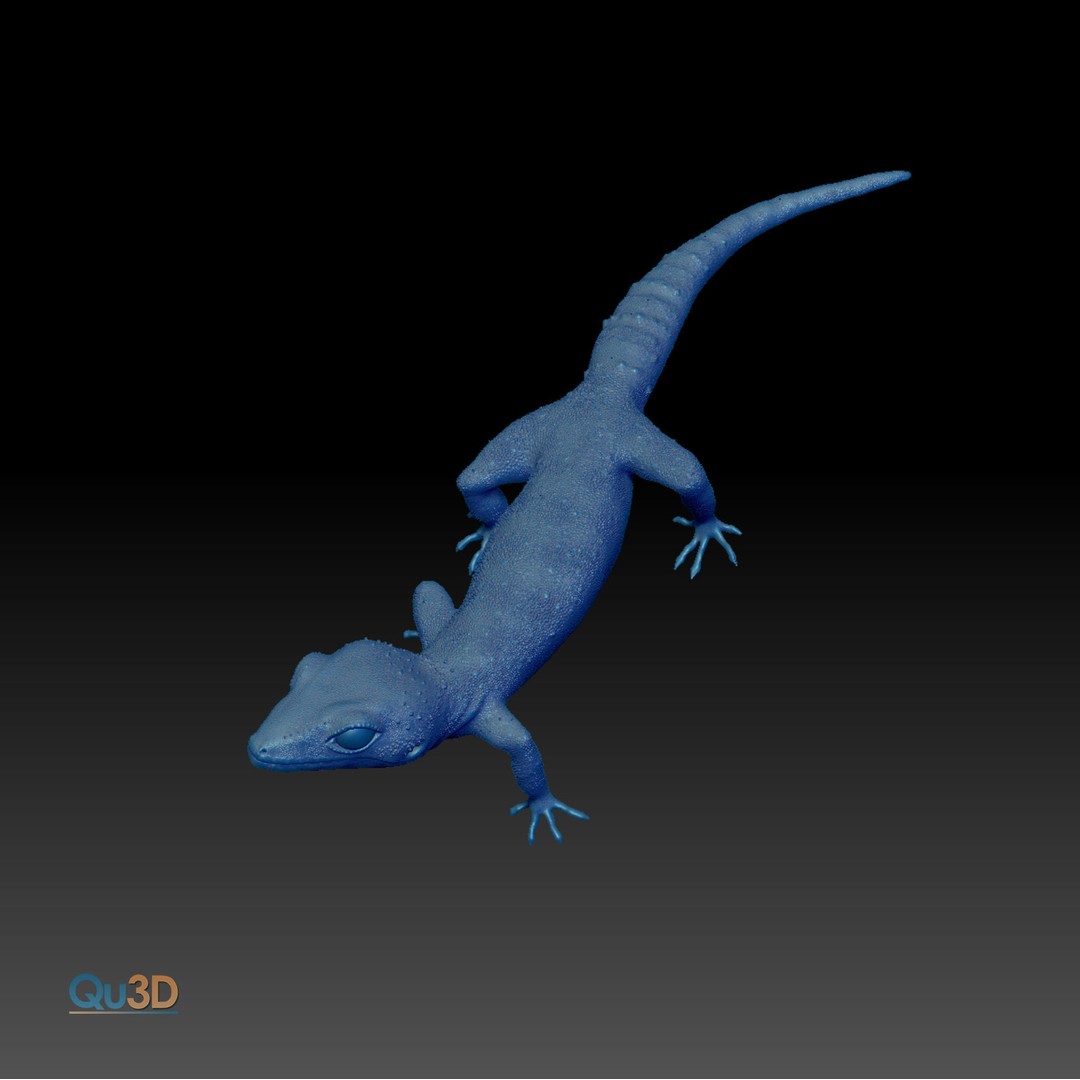 Chinese Cave Gecko 3D Model – High Poly PBR Model for Animation - View 5