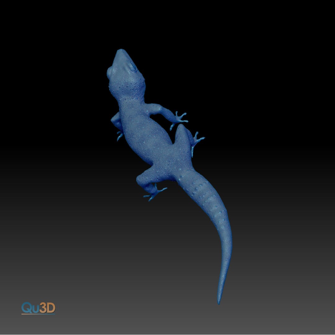 Chinese Cave Gecko 3D Model – High Poly PBR Model for Animation - View 7