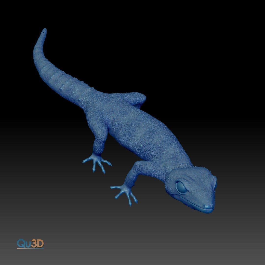 Chinese Cave Gecko 3D Model – High Poly PBR Model for Animation - View 8