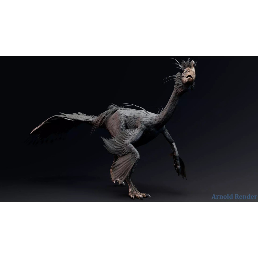 GigantoRaptor 3D Model – Low Poly Animated Dinosaur, Unity Package - View 4