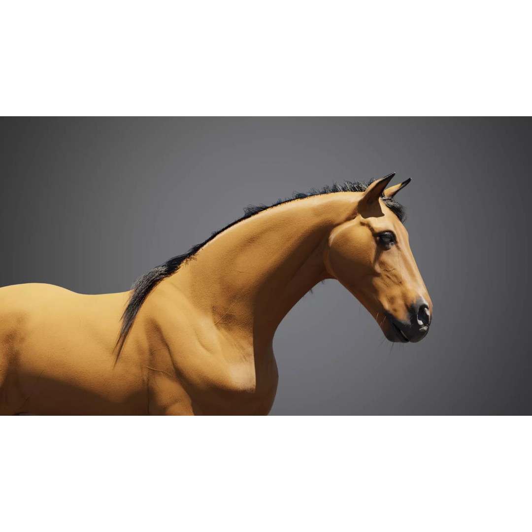 Horse Munstang 3D Model – Animated Rigged PBR Game Asset, FBX - View 4