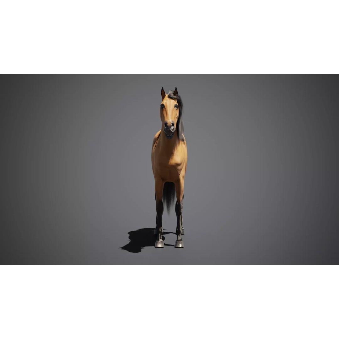 Horse Munstang 3D Model – Animated Rigged PBR Game Asset, FBX - View 8
