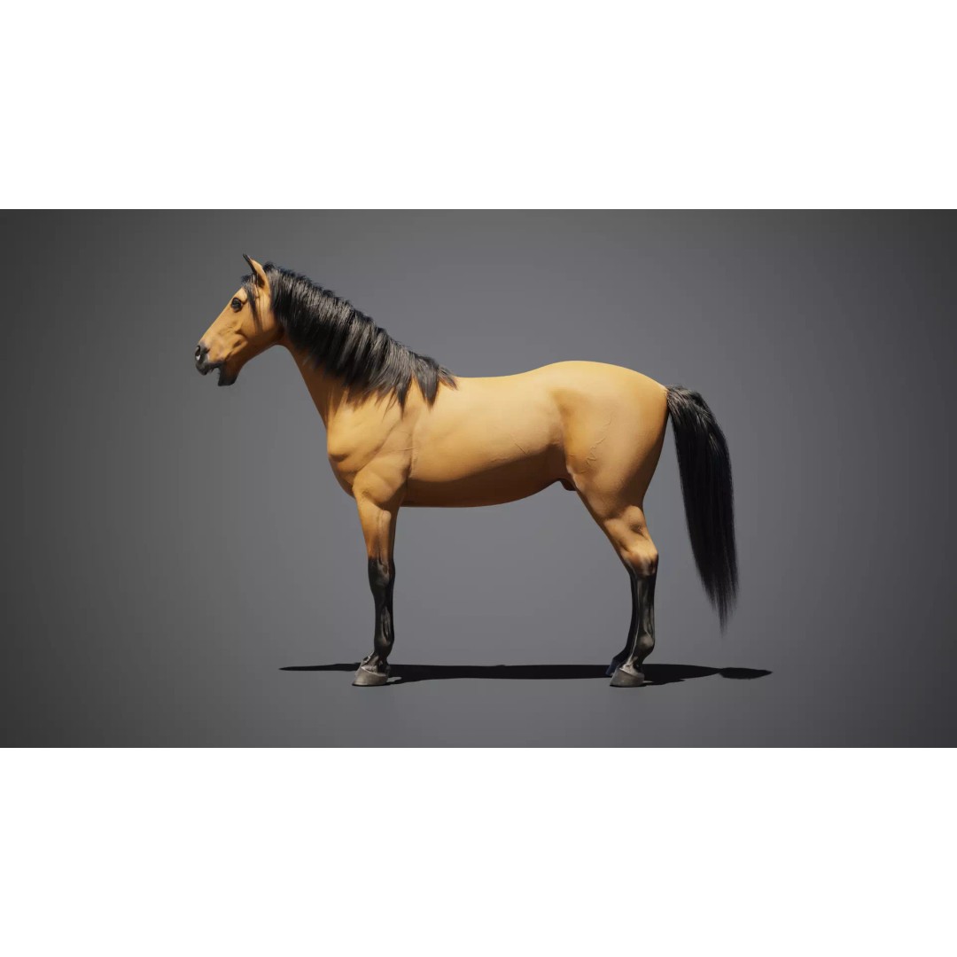 Horse Munstang 3D Model – Animated Rigged PBR Game Asset, FBX - View 9
