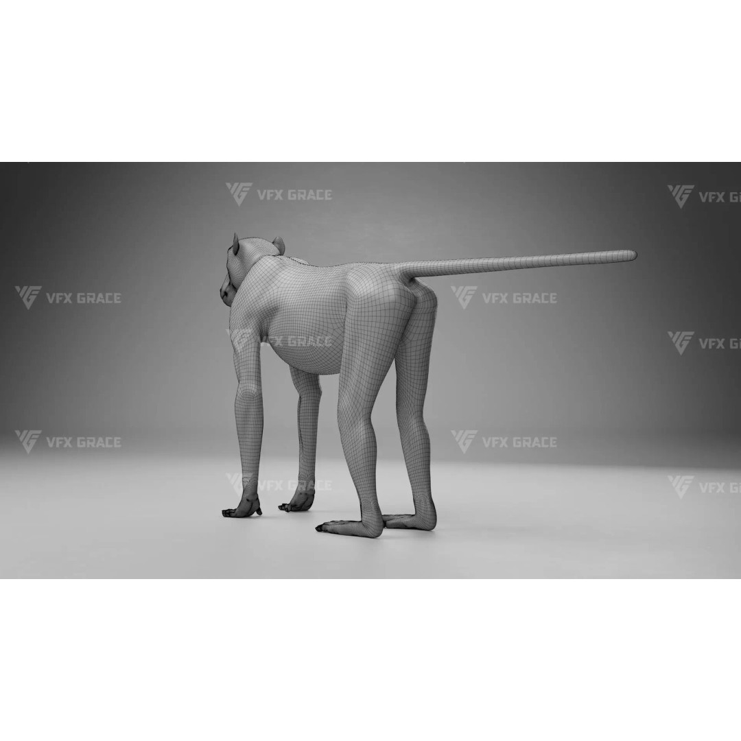 Baboon 3D Model – Realistic Animated Character for Blender