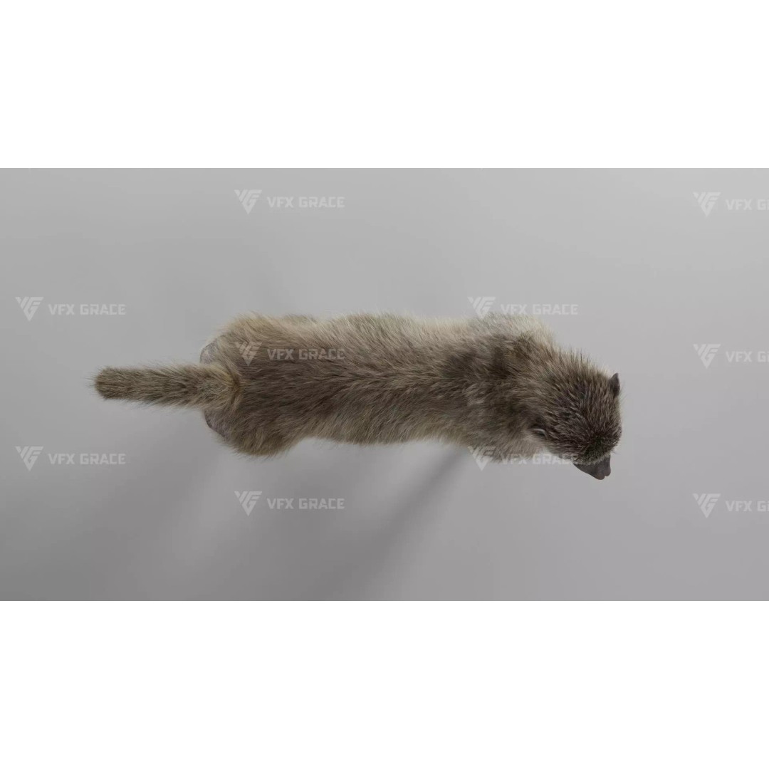 Baboon 3D Model – Realistic Animated Character for Blender - View 10