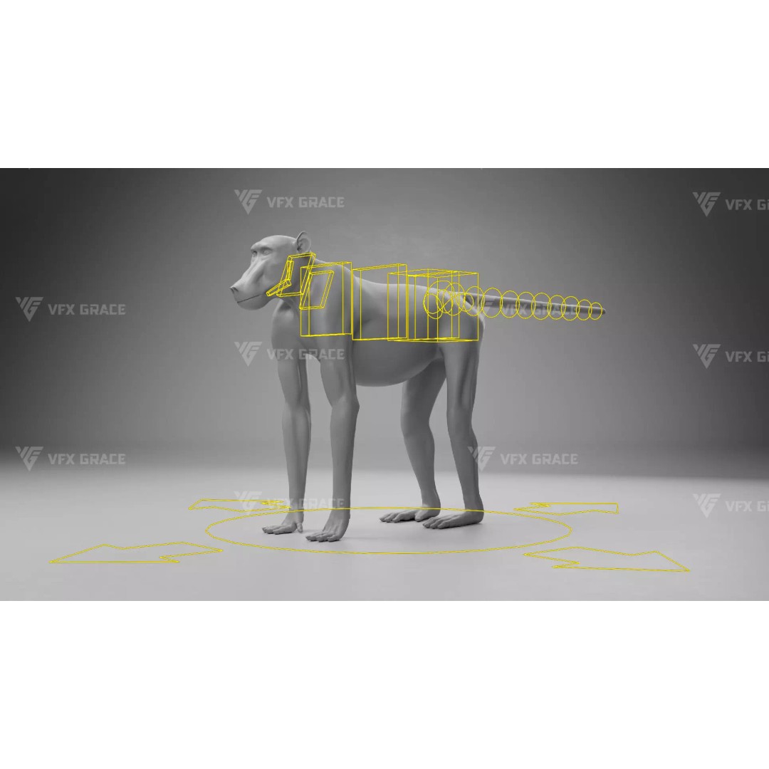 Baboon 3D Model – Realistic Animated Character for Blender - View 13