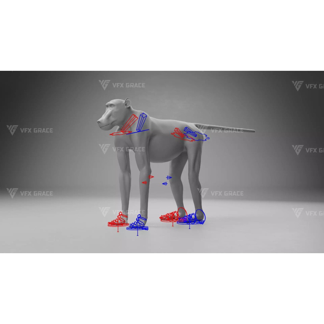Baboon 3D Model – Realistic Animated Character for Blender - View 14