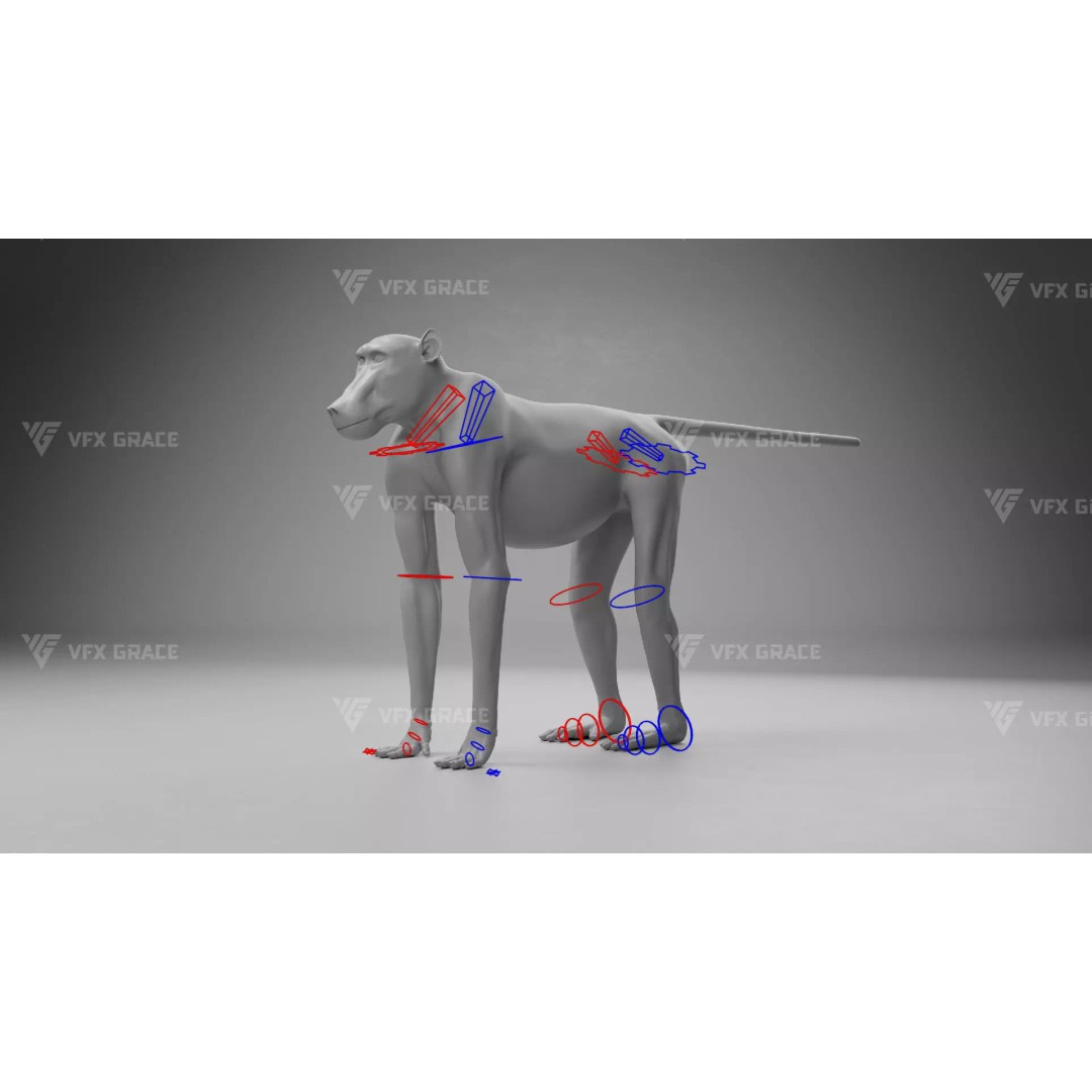 Baboon 3D Model – Realistic Animated Character for Blender - View 15