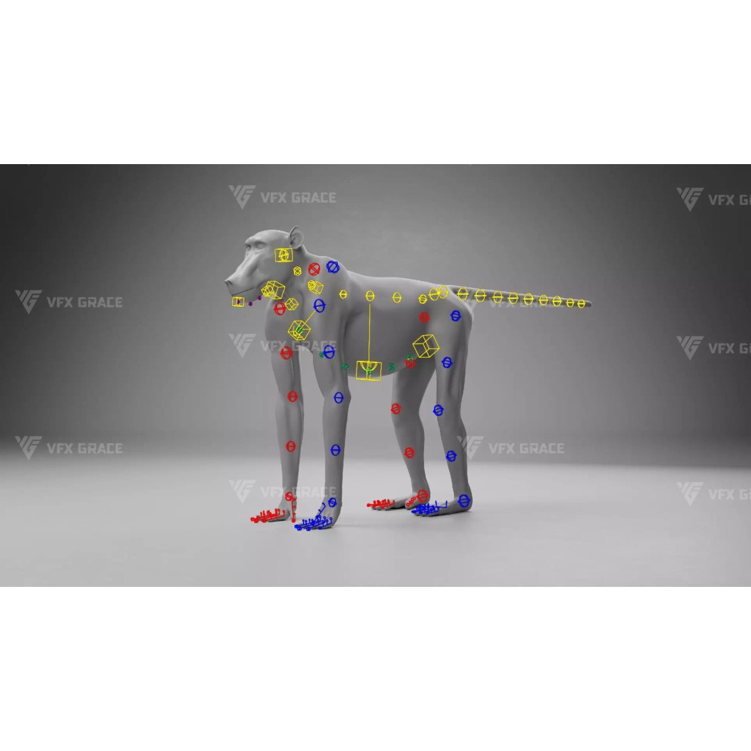 Baboon 3D Model – Realistic Animated Character for Blender - View 16