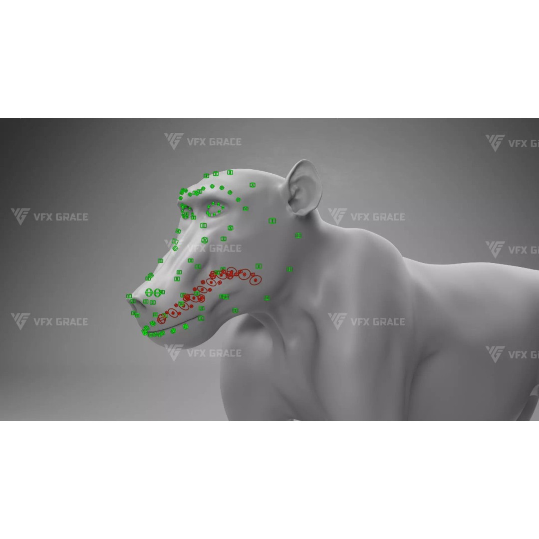 Baboon 3D Model – Realistic Animated Character for Blender - View 18