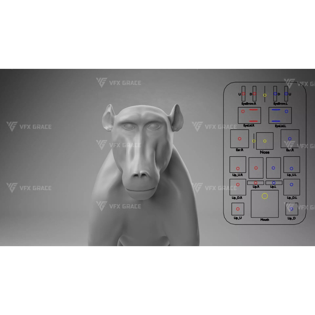 Baboon 3D Model – Realistic Animated Character for Blender - View 19