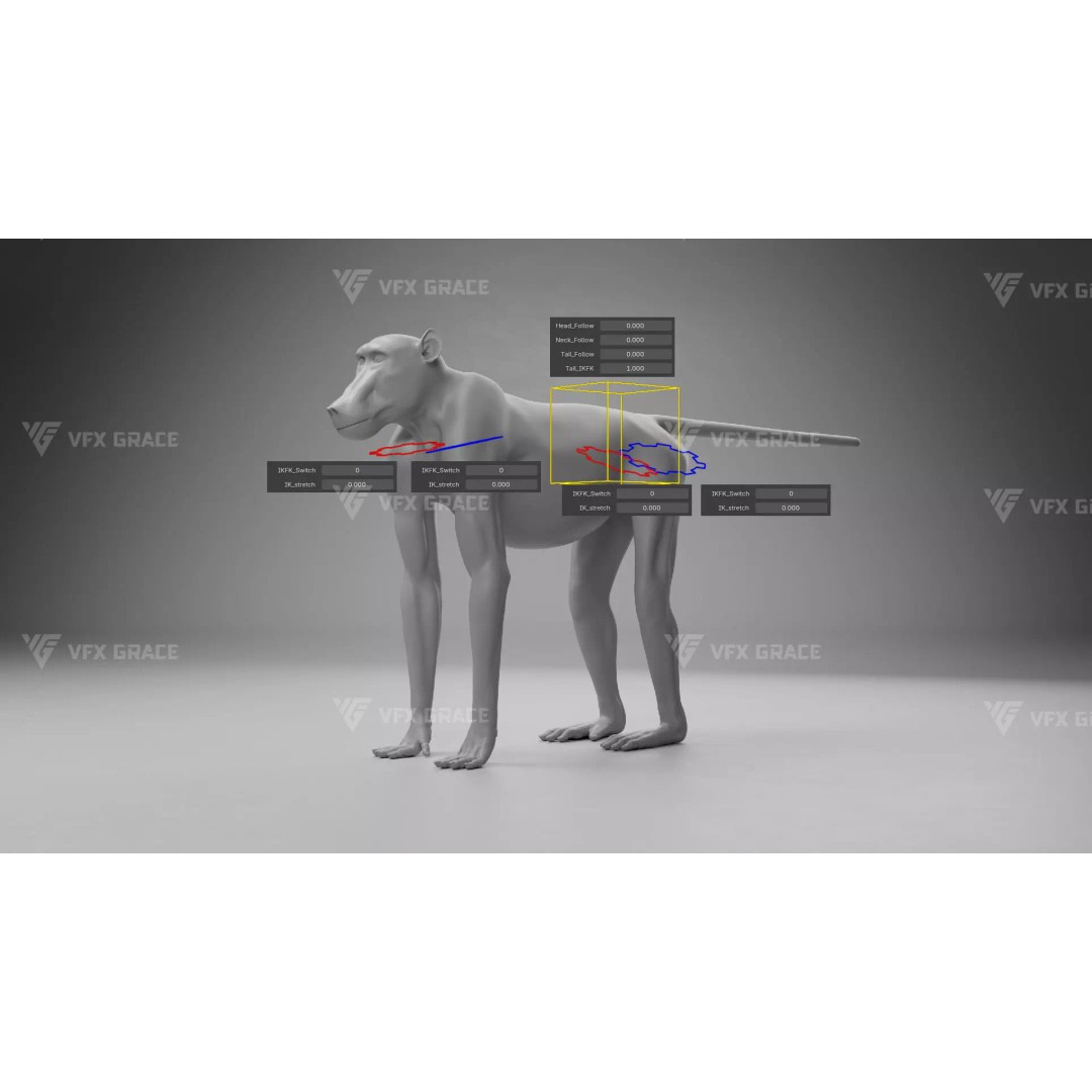 Baboon 3D Model – Realistic Animated Character for Blender - View 20