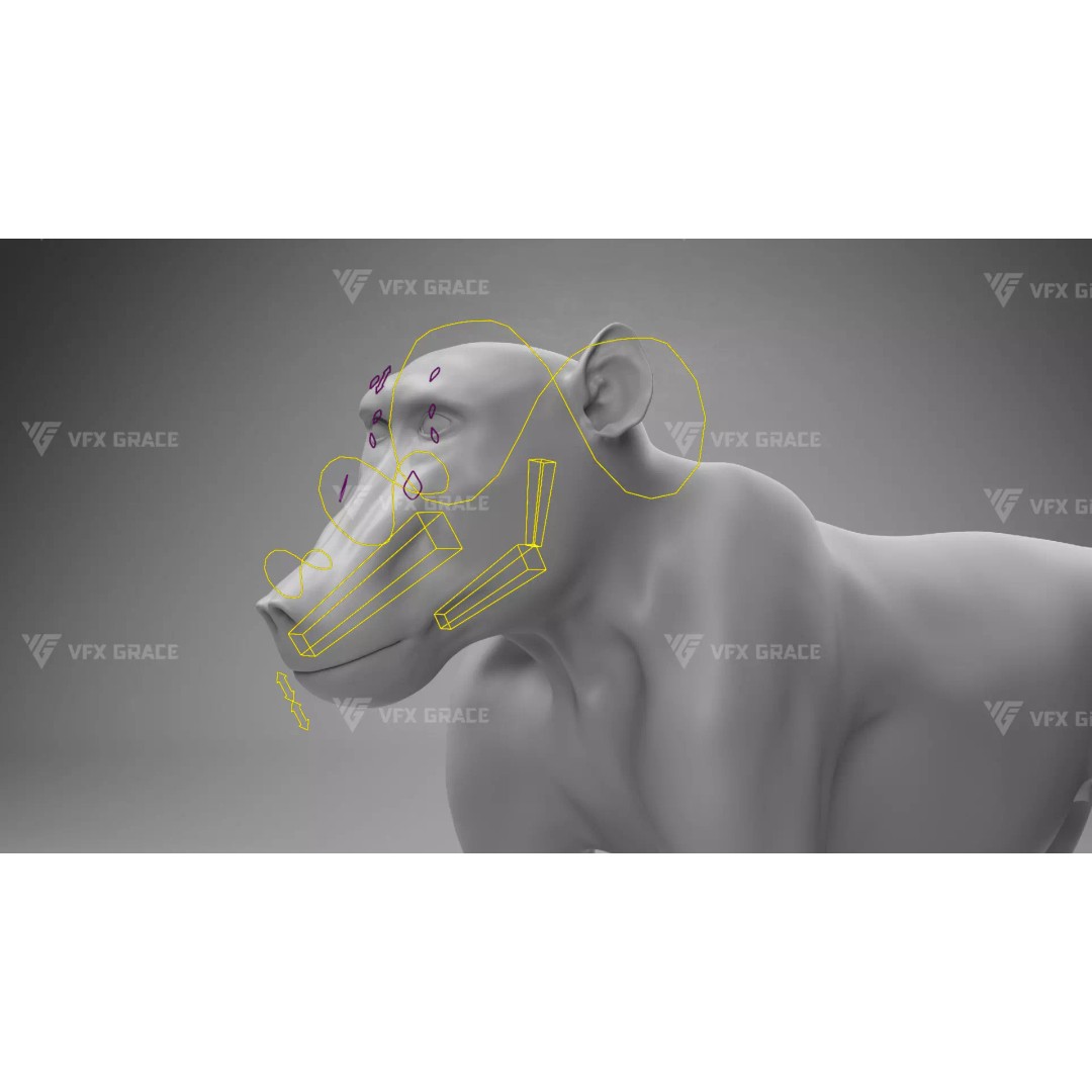 Baboon 3D Model – Realistic Animated Character for Blender - View 21