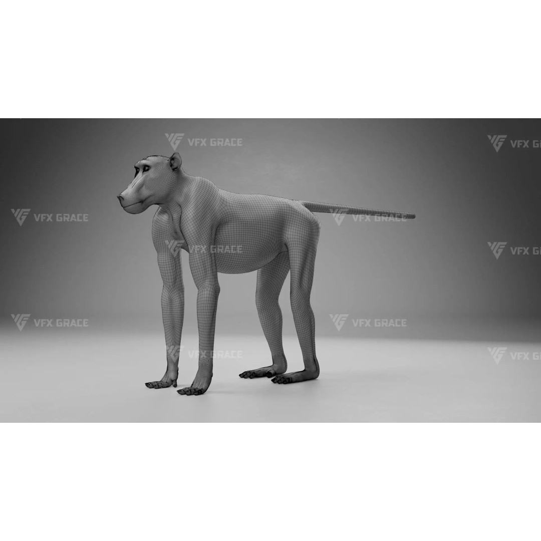 Baboon 3D Model – Realistic Animated Character for Blender - View 29