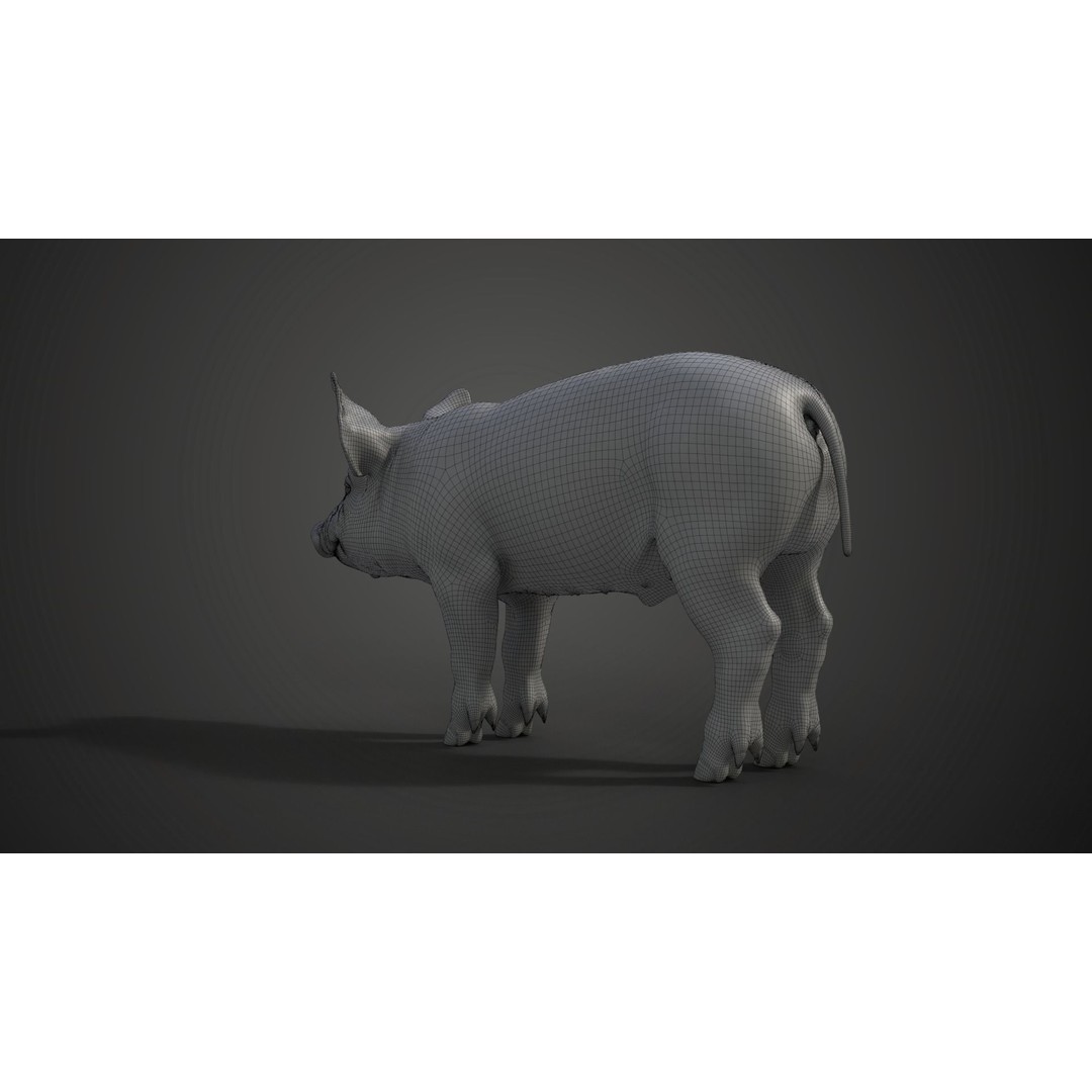 Piggy 3D Model – High Poly Rigged Character with Animations