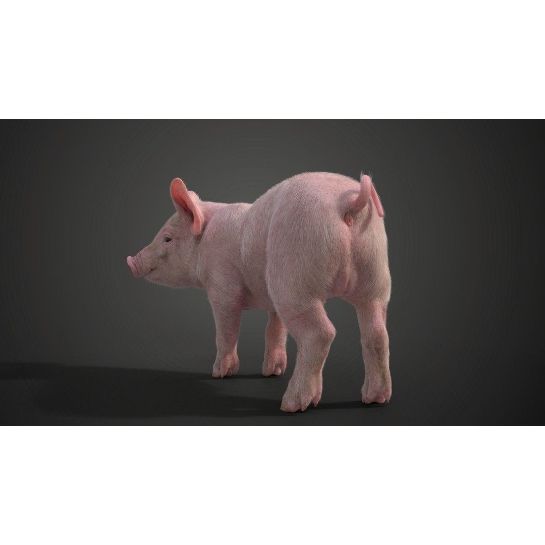 Piggy 3D Model – High Poly Rigged Character with Animations - View 12