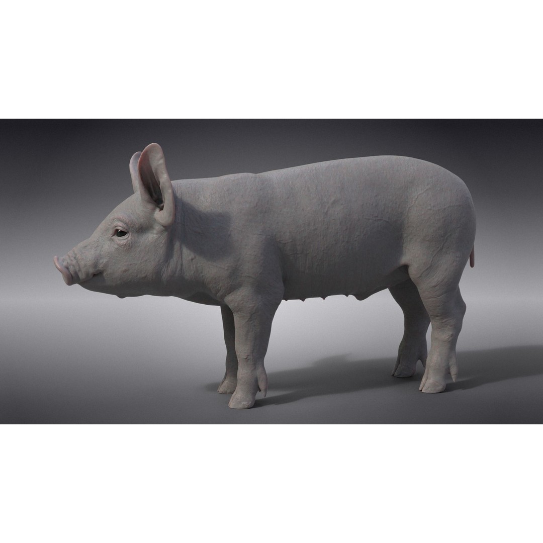 Piggy 3D Model – High Poly Rigged Character with Animations - View 14