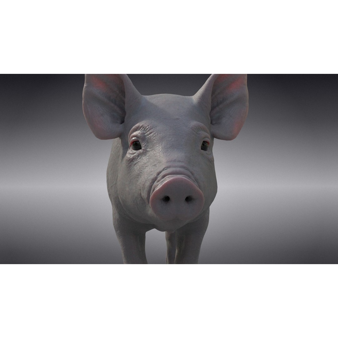 Piggy 3D Model – High Poly Rigged Character with Animations - View 15