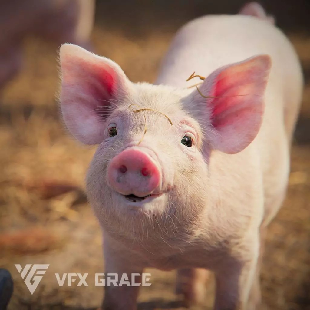 Piggy 3D Model – High Poly Rigged Character with Animations - View 2