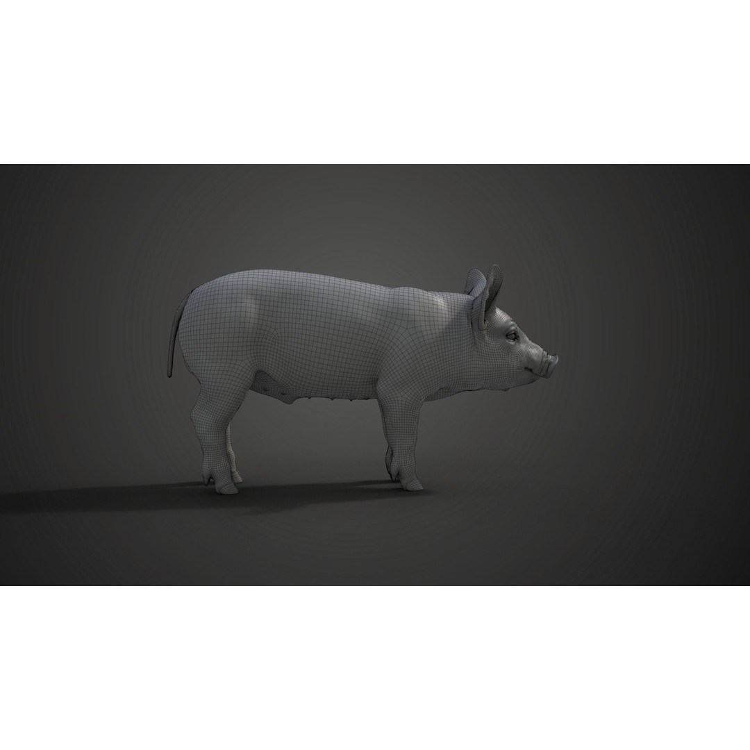 Piggy 3D Model – High Poly Rigged Character with Animations - View 24