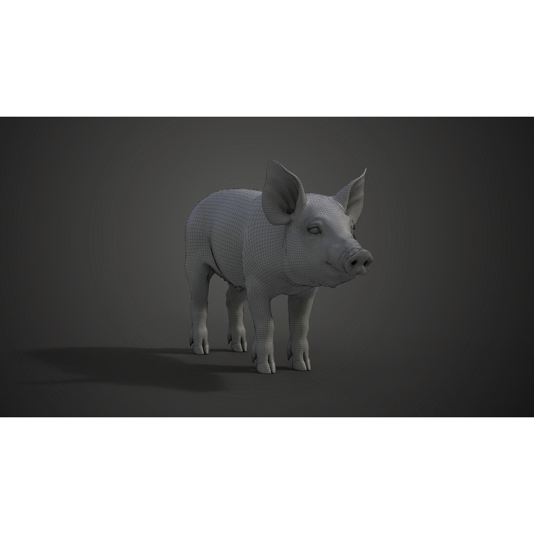 Piggy 3D Model – High Poly Rigged Character with Animations - View 25