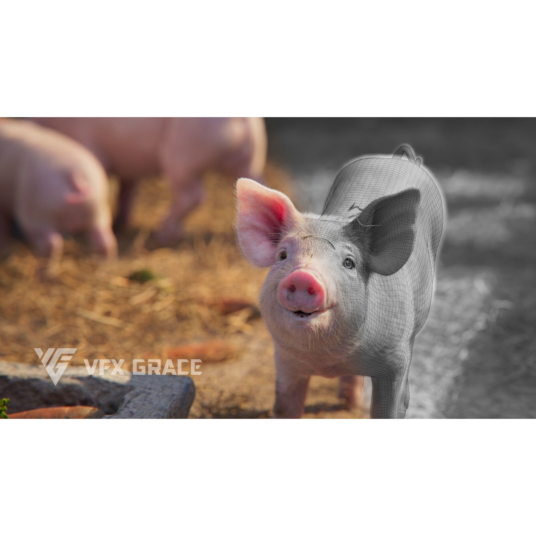 Piggy 3D Model – High Poly Rigged Character with Animations - View 3