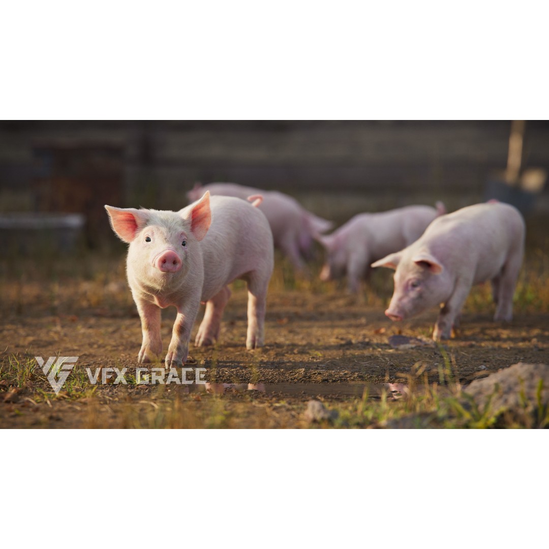 Piggy 3D Model – High Poly Rigged Character with Animations - View 4