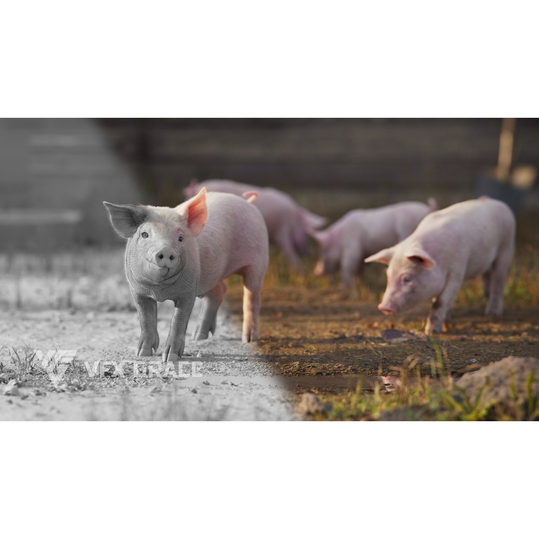 Piggy 3D Model – High Poly Rigged Character with Animations - View 5