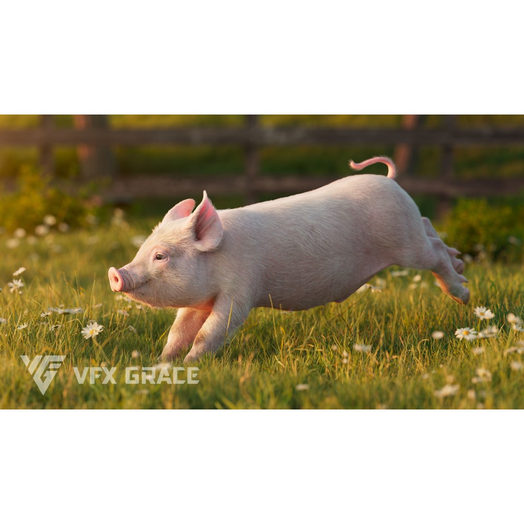 Piggy 3D Model – High Poly Rigged Character with Animations - View 6