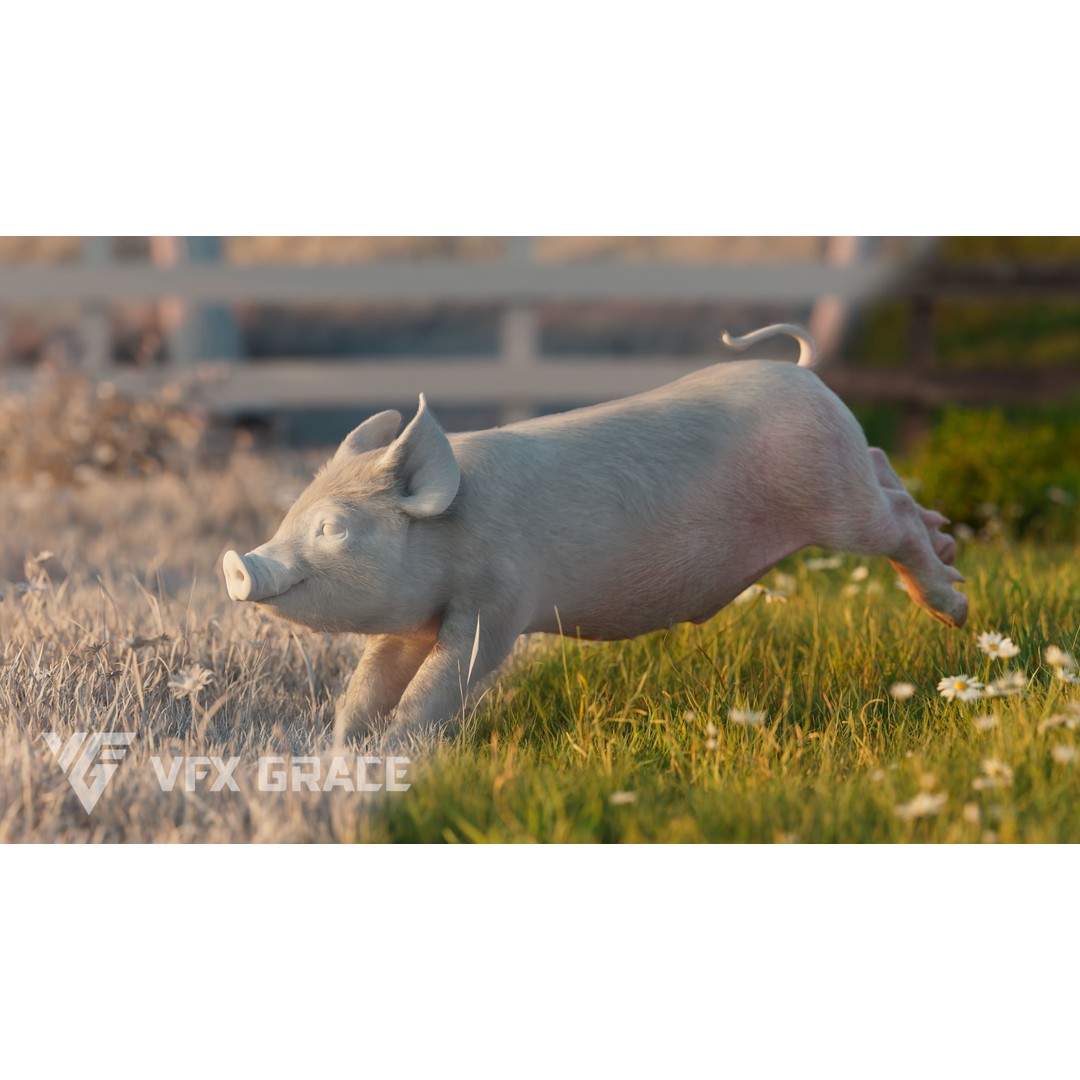 Piggy 3D Model – High Poly Rigged Character with Animations - View 7