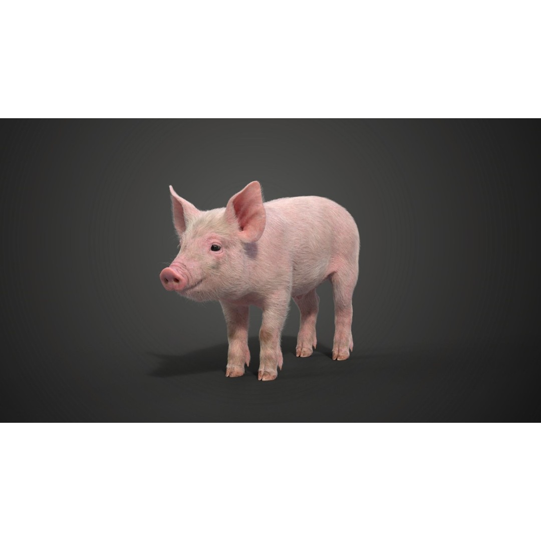 Piggy 3D Model – High Poly Rigged Character with Animations - View 9