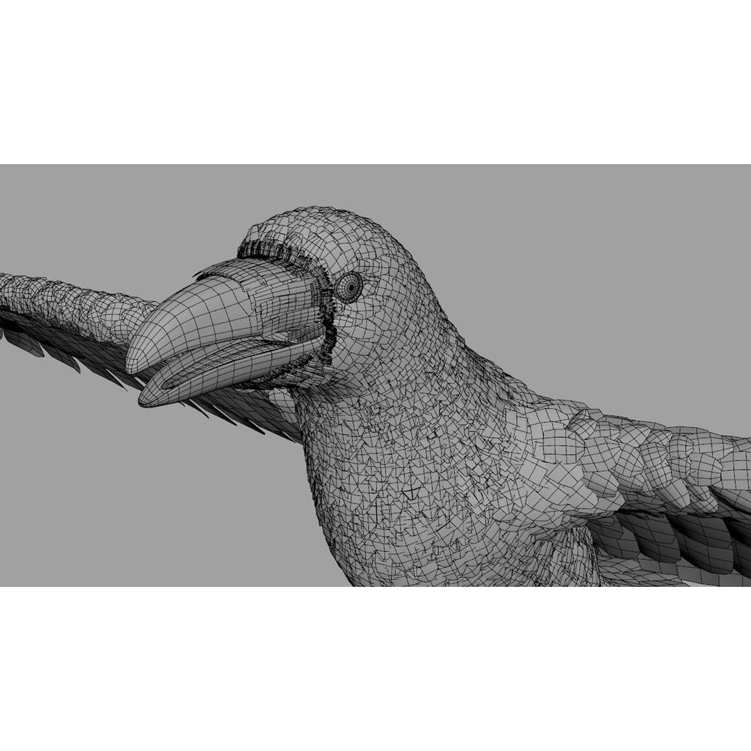 Crow Bird 3D Model – Rigged Animal Asset with Textures, FBX
