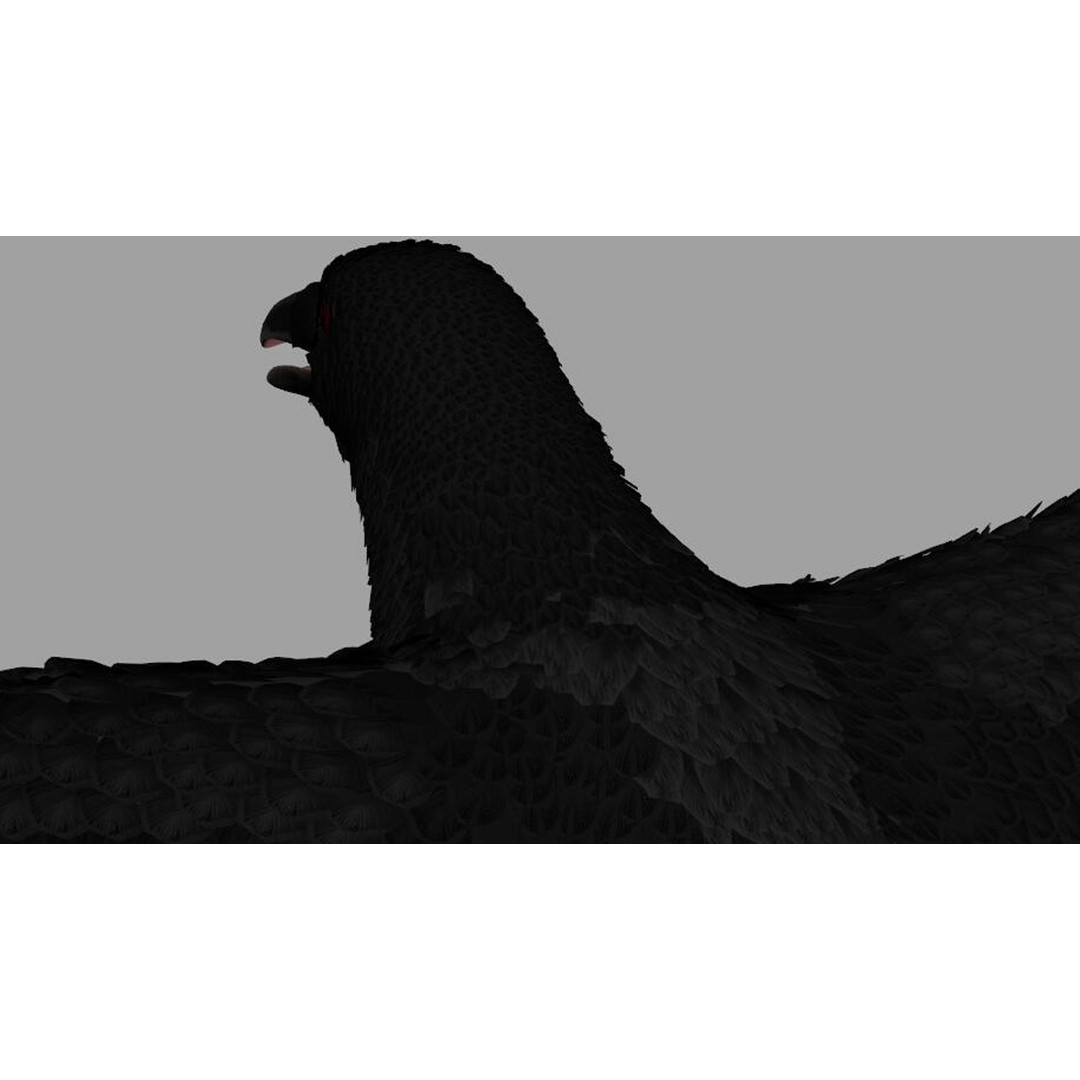 Crow Bird 3D Model – Rigged Animal Asset with Textures, FBX - View 13