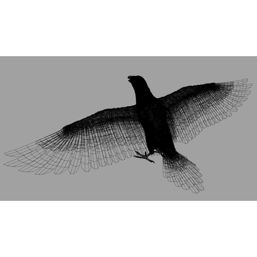 Crow Bird 3D Model – Rigged Animal Asset with Textures, FBX - View 14