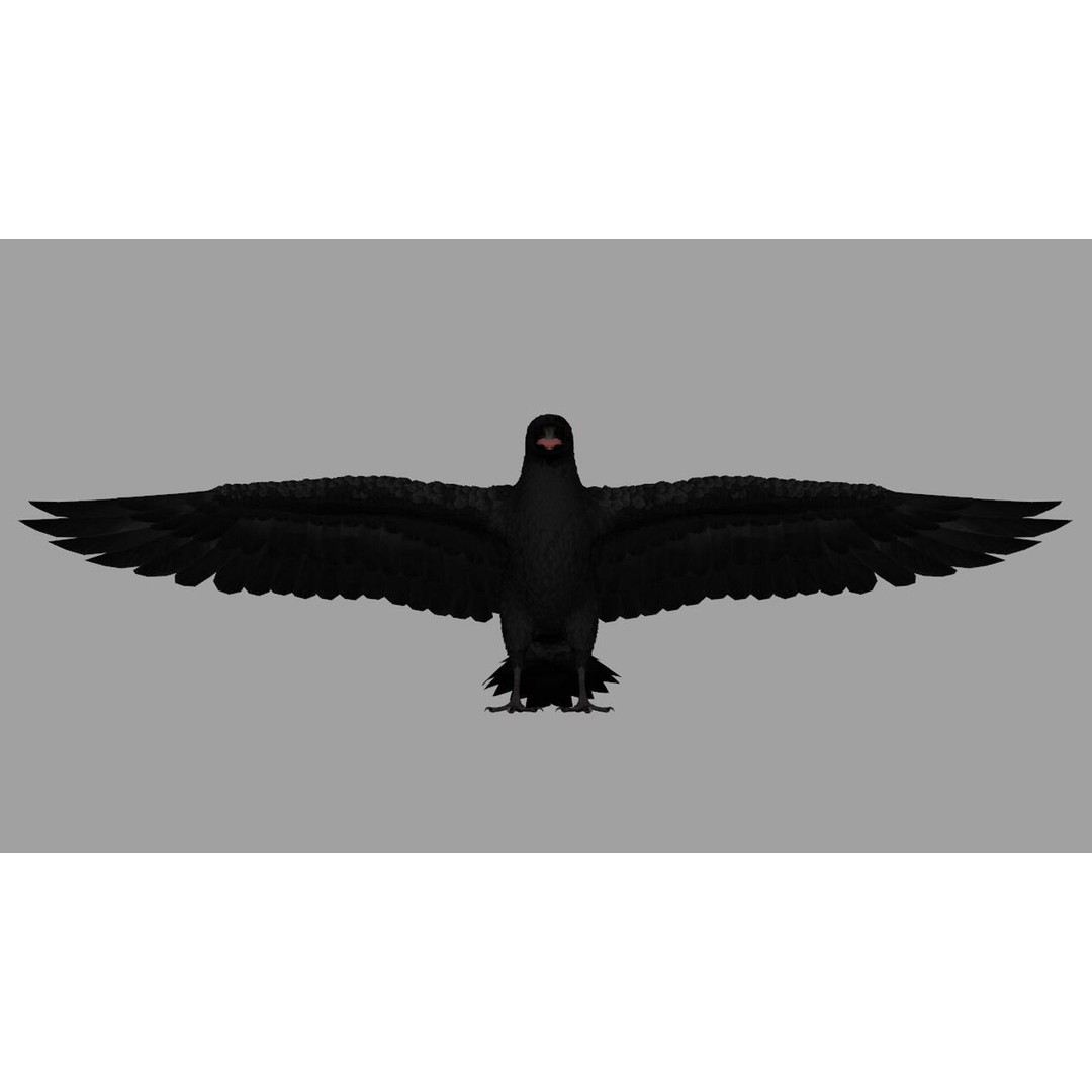 Crow Bird 3D Model – Rigged Animal Asset with Textures, FBX - View 3