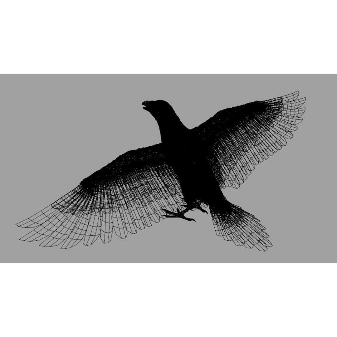 Crow Bird 3D Model – Rigged Animal Asset with Textures, FBX - View 6