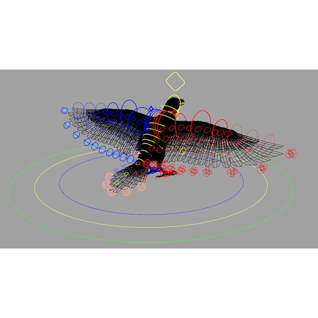 Crow Bird 3D Model – Rigged Animal Asset with Textures, FBX - View 9