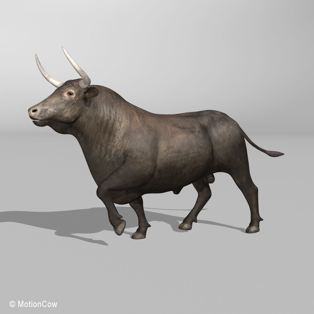 Bull 3D Model – Rigged Animation-Ready Game Asset, FBX - View 10