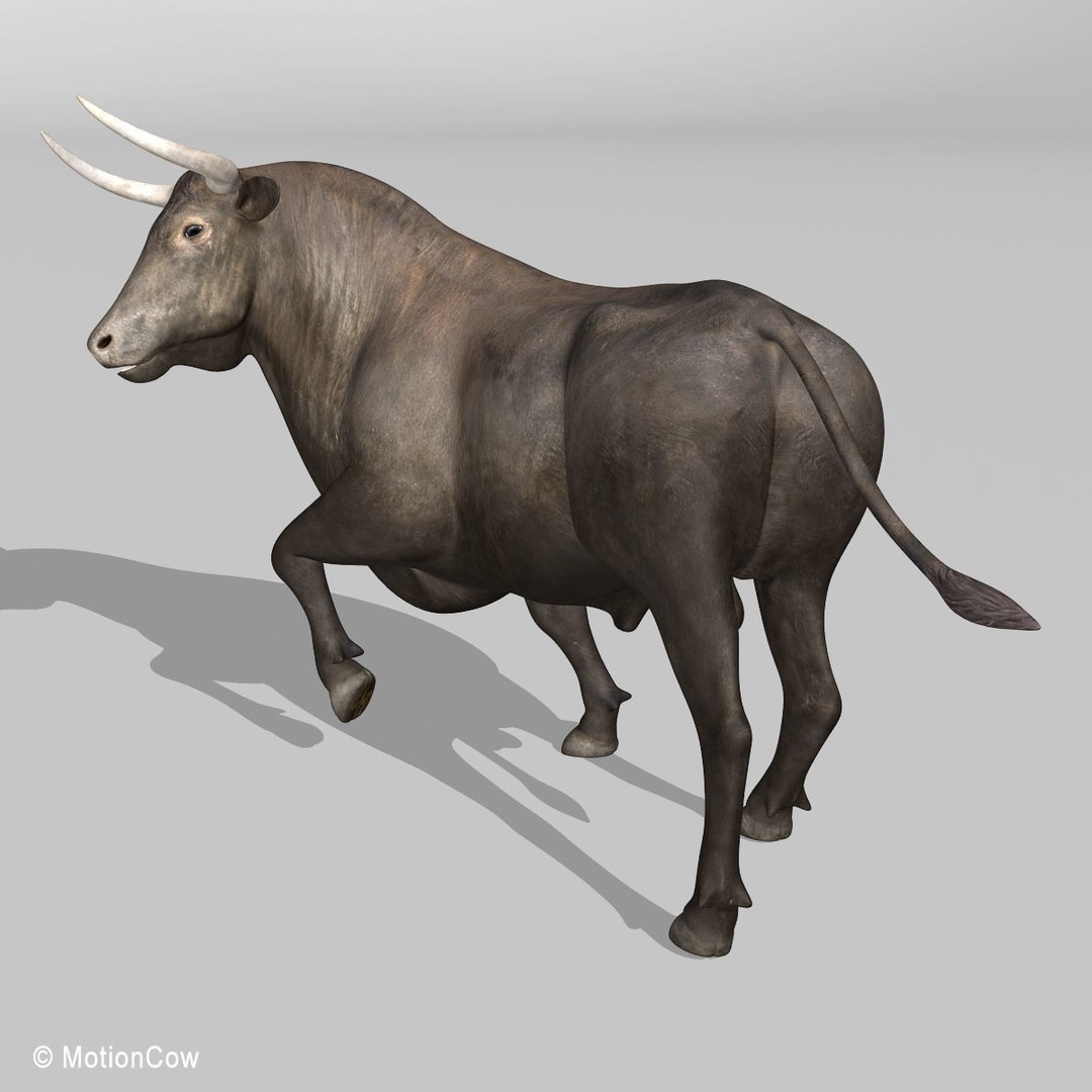Bull 3D Model – Rigged Animation-Ready Game Asset, FBX - View 11