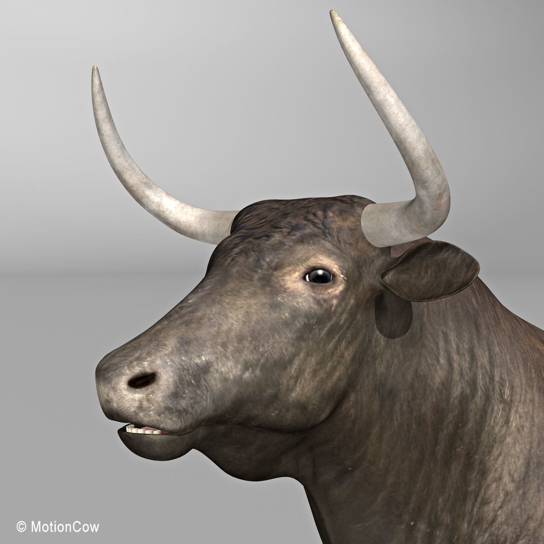 Bull 3D Model – Rigged Animation-Ready Game Asset, FBX - View 12