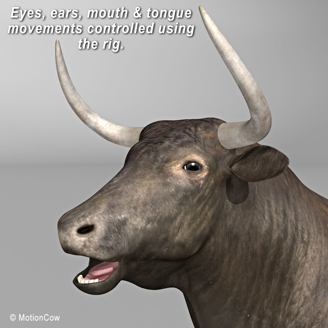 Bull 3D Model – Rigged Animation-Ready Game Asset, FBX - View 13