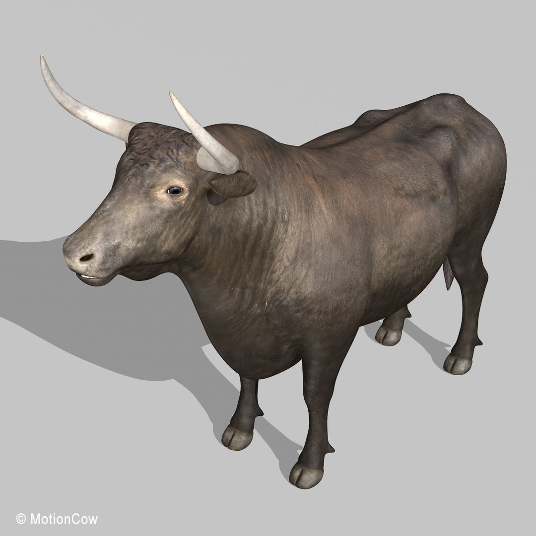 Bull 3D Model – Rigged Animation-Ready Game Asset, FBX - View 14