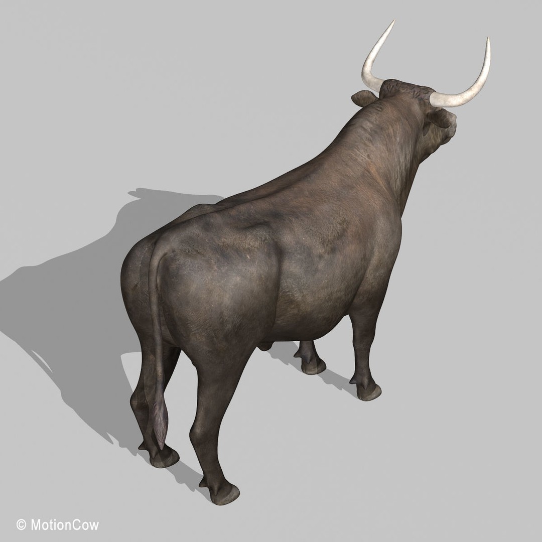 Bull 3D Model – Rigged Animation-Ready Game Asset, FBX - View 15