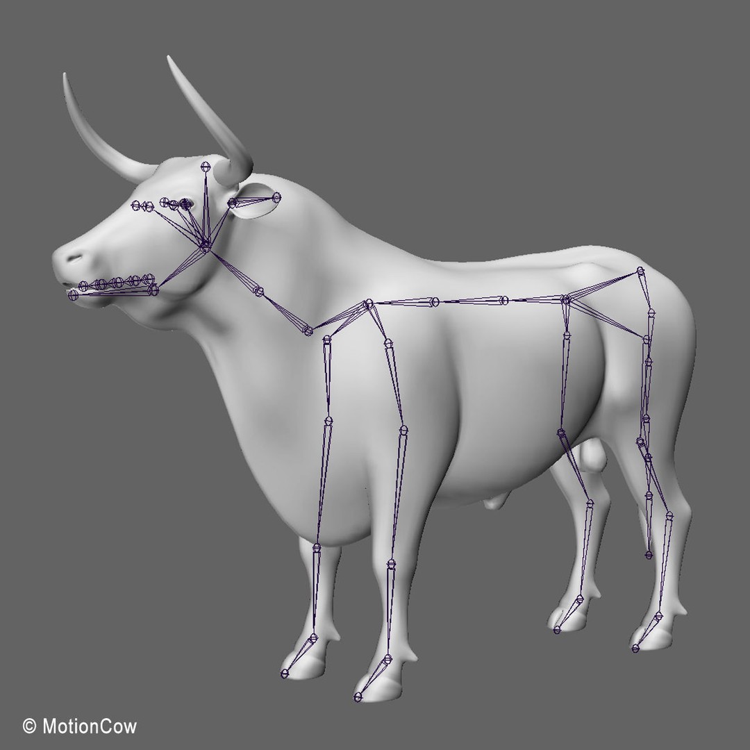 Bull 3D Model – Rigged Animation-Ready Game Asset, FBX - View 16