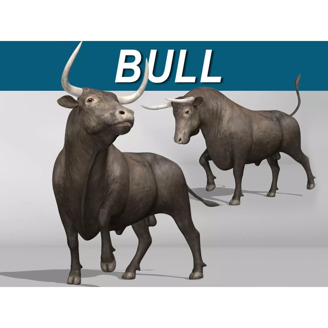 Bull 3D Model – Rigged Animation-Ready Game Asset, FBX - View 2