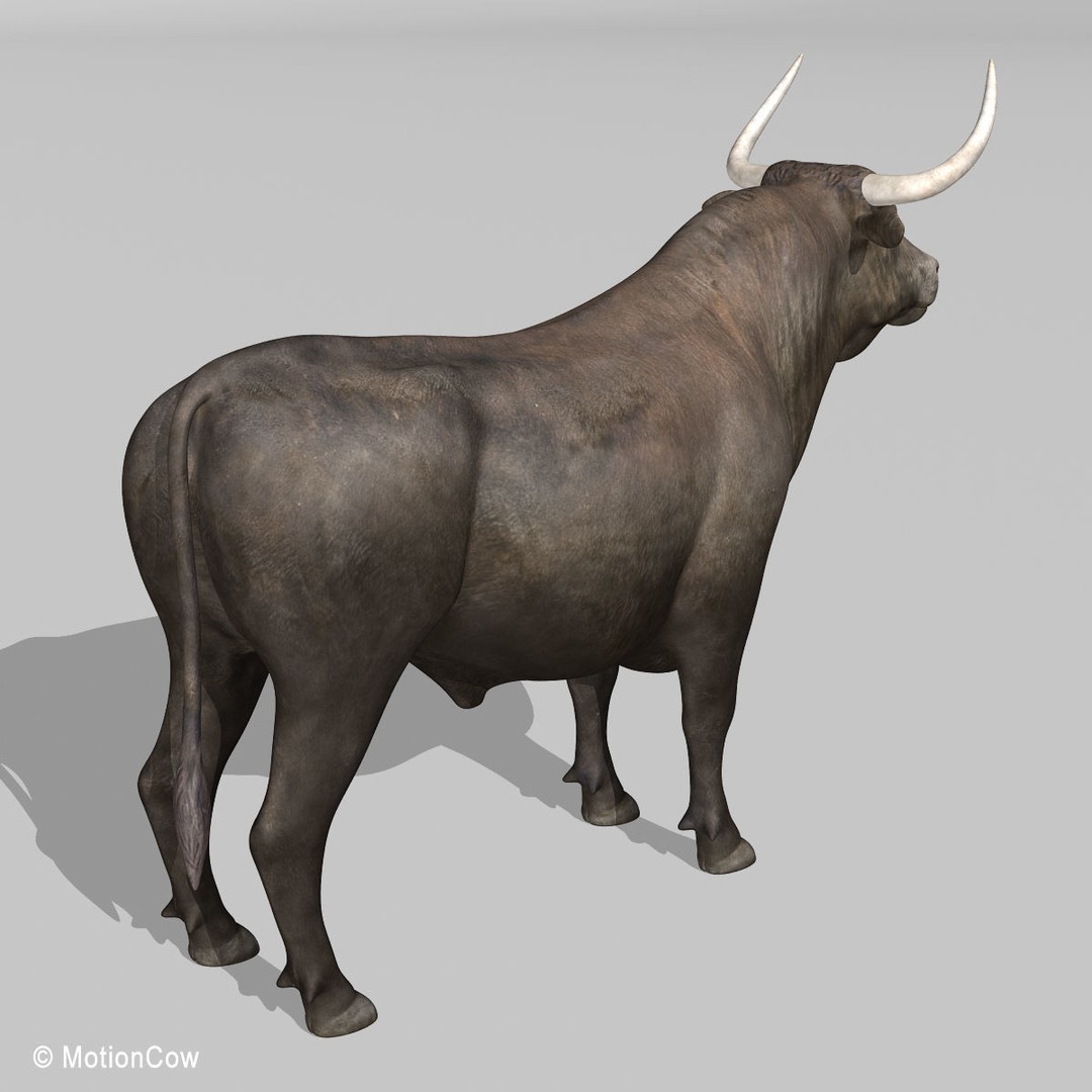 Bull 3D Model – Rigged Animation-Ready Game Asset, FBX - View 4