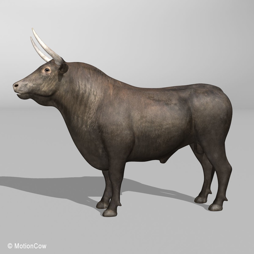 Bull 3D Model – Rigged Animation-Ready Game Asset, FBX - View 5