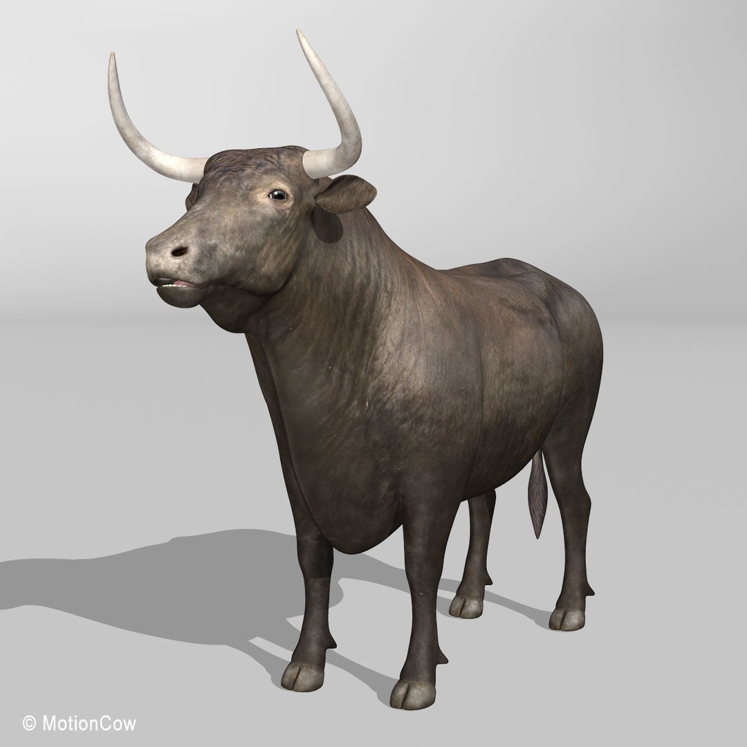 Bull 3D Model – Rigged Animation-Ready Game Asset, FBX - View 6