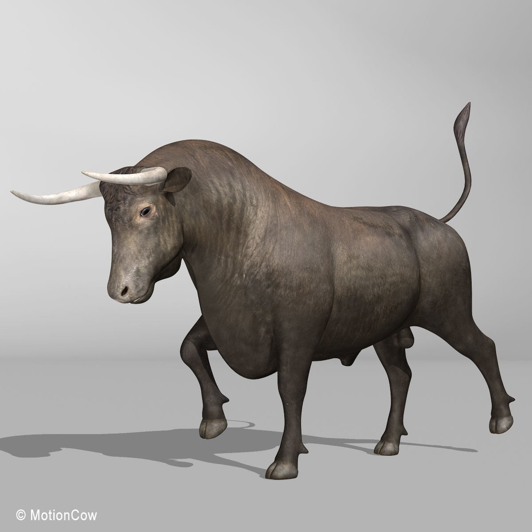 Bull 3D Model – Rigged Animation-Ready Game Asset, FBX - View 7